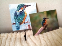 Handgemaakte ijsvogel wandhaak