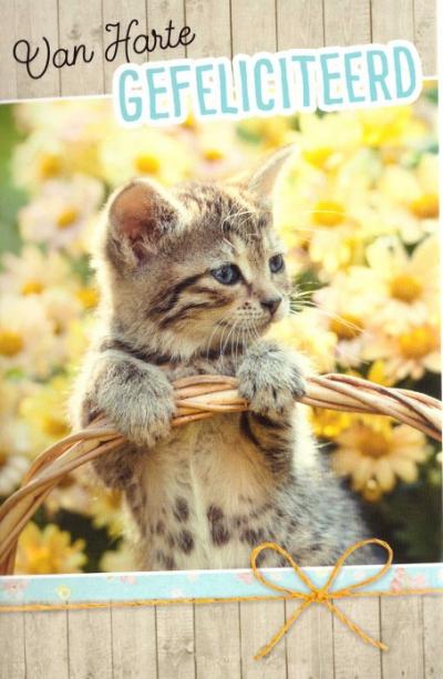 Wenskaart kat poes met bloemen