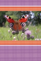 Wenskaart vlinder vlinders