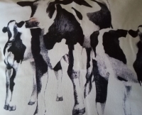 Ashdene sierkussen koe koeien